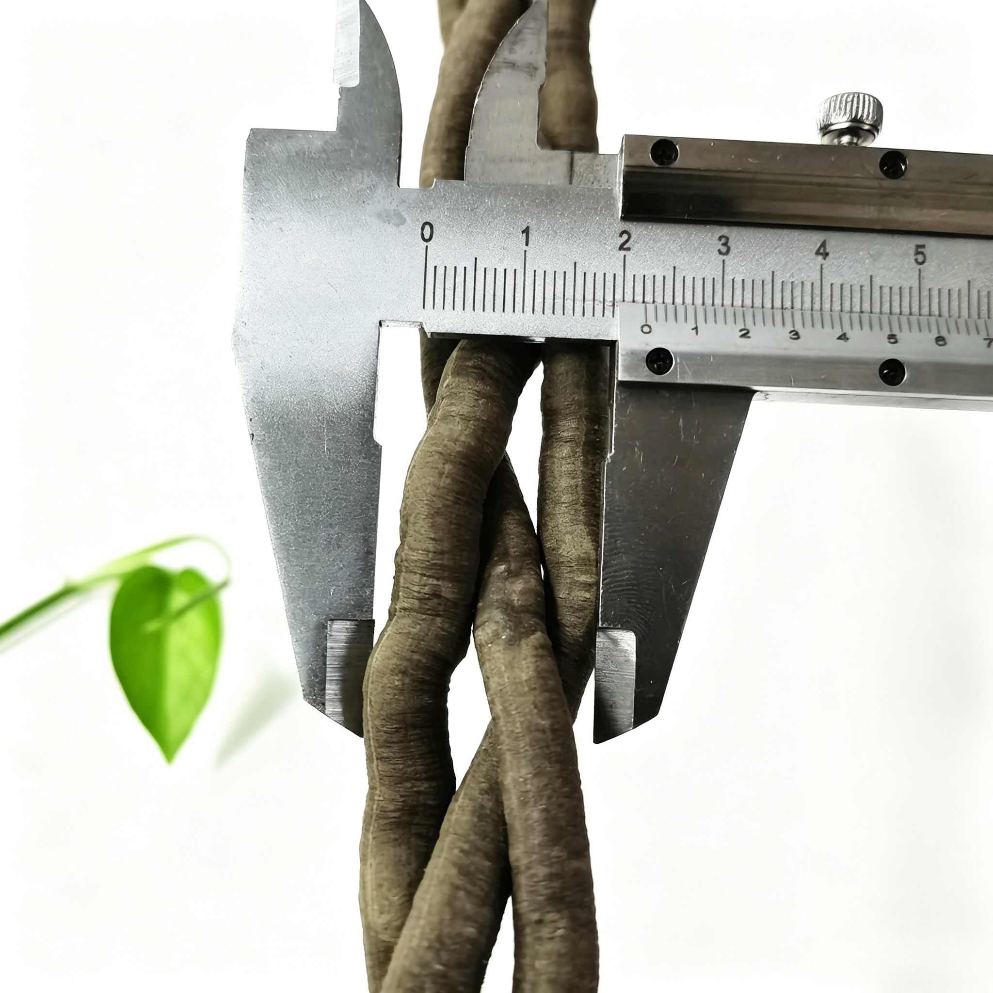 100cm Artificial Vine Fake Pla - مراجعة Aquarium Plants Book وسعره