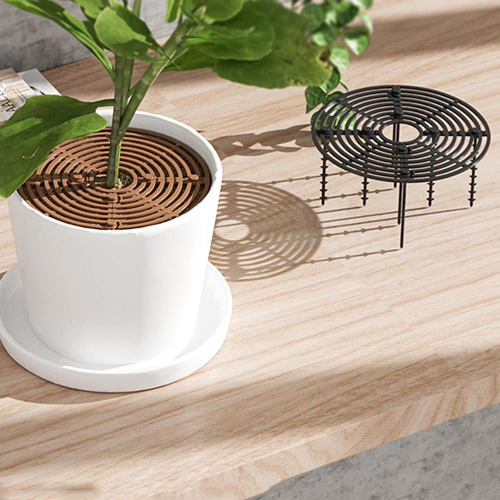 19/30cm Plant Pot Soil Guard C - مراجعة Tissue Culture Plant وسعره