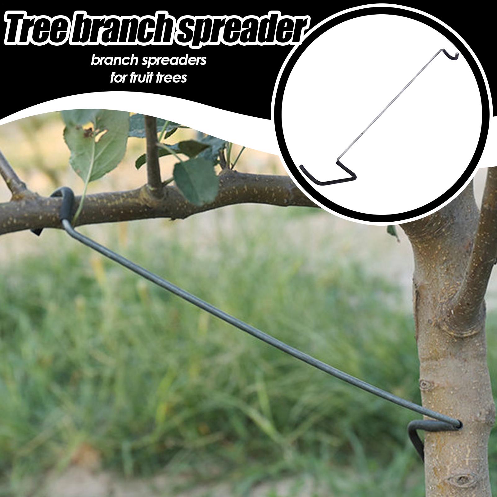 Fruit Tree Branch Spreader 10P - مراجعة Tissue Culture Plant وسعره
