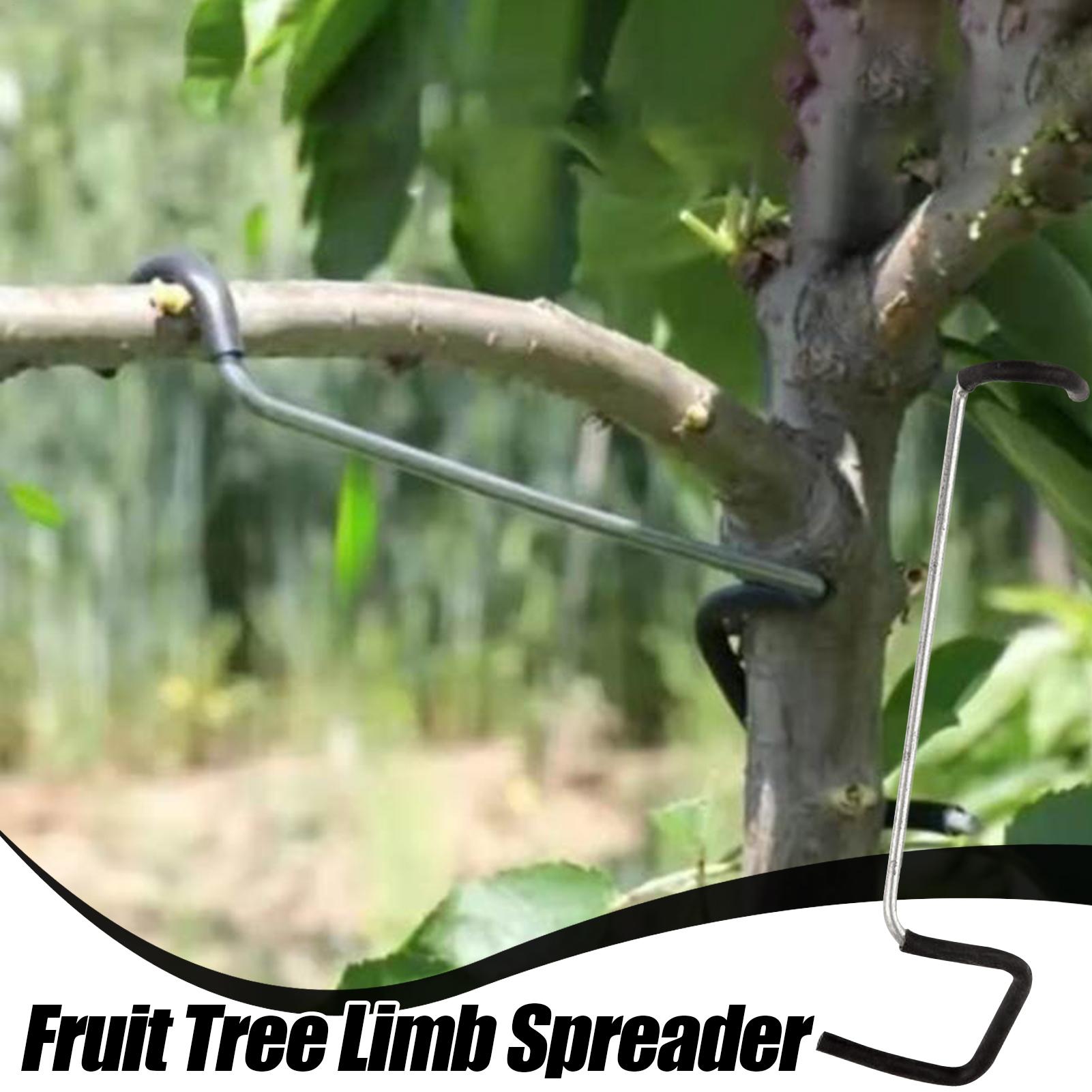 Fruit Tree Branch Spreader 10P - مراجعة Tissue Culture Plant وسعره