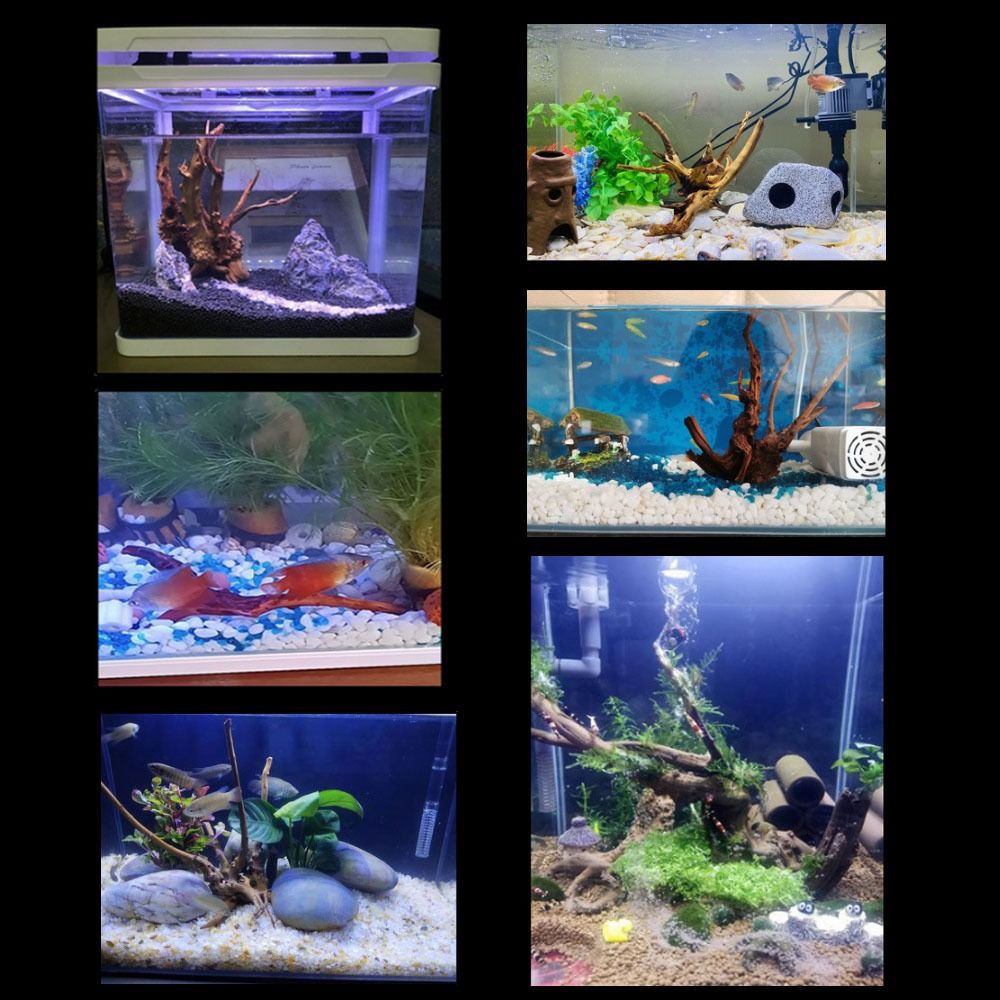 20-25CM Large Aquarium Driftwo - مراجعة Aquarium Plant Guide وسعره