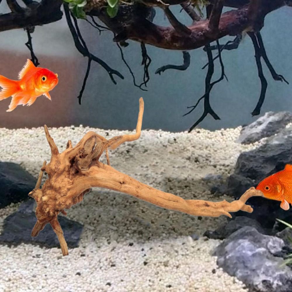 20-25CM Large Aquarium Driftwo - مراجعة Aquarium Plant Guide وسعره