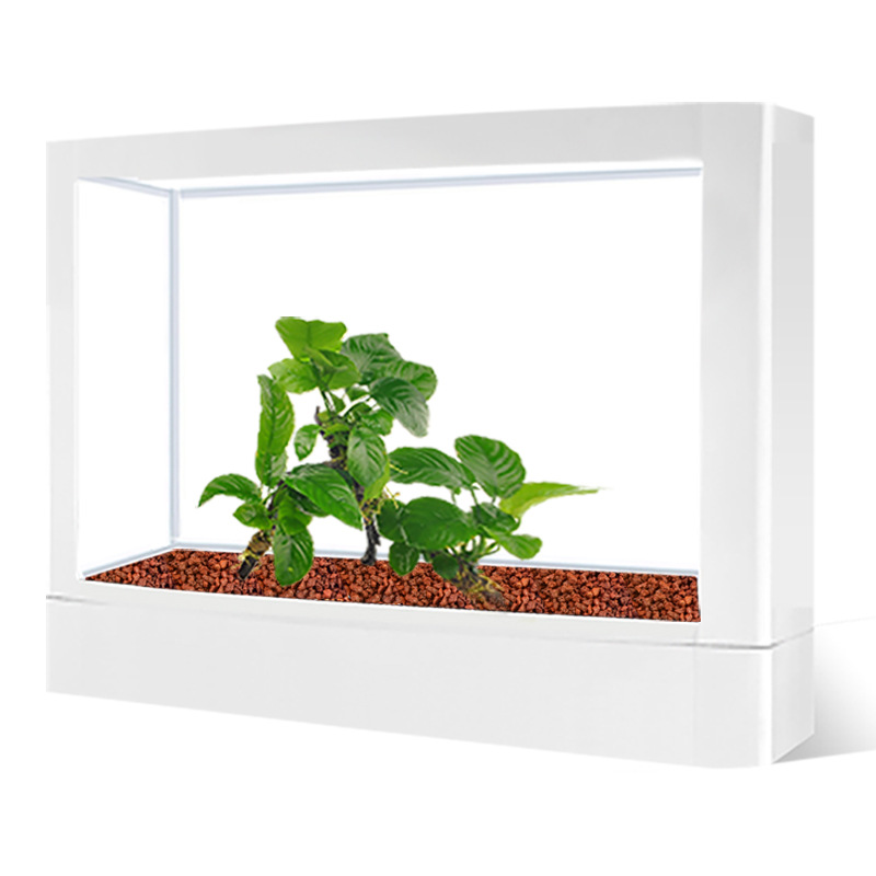 WAJABABY Volcanic Sand for Aqu - مراجعة Aquarium Plant Root Tabs وسعره