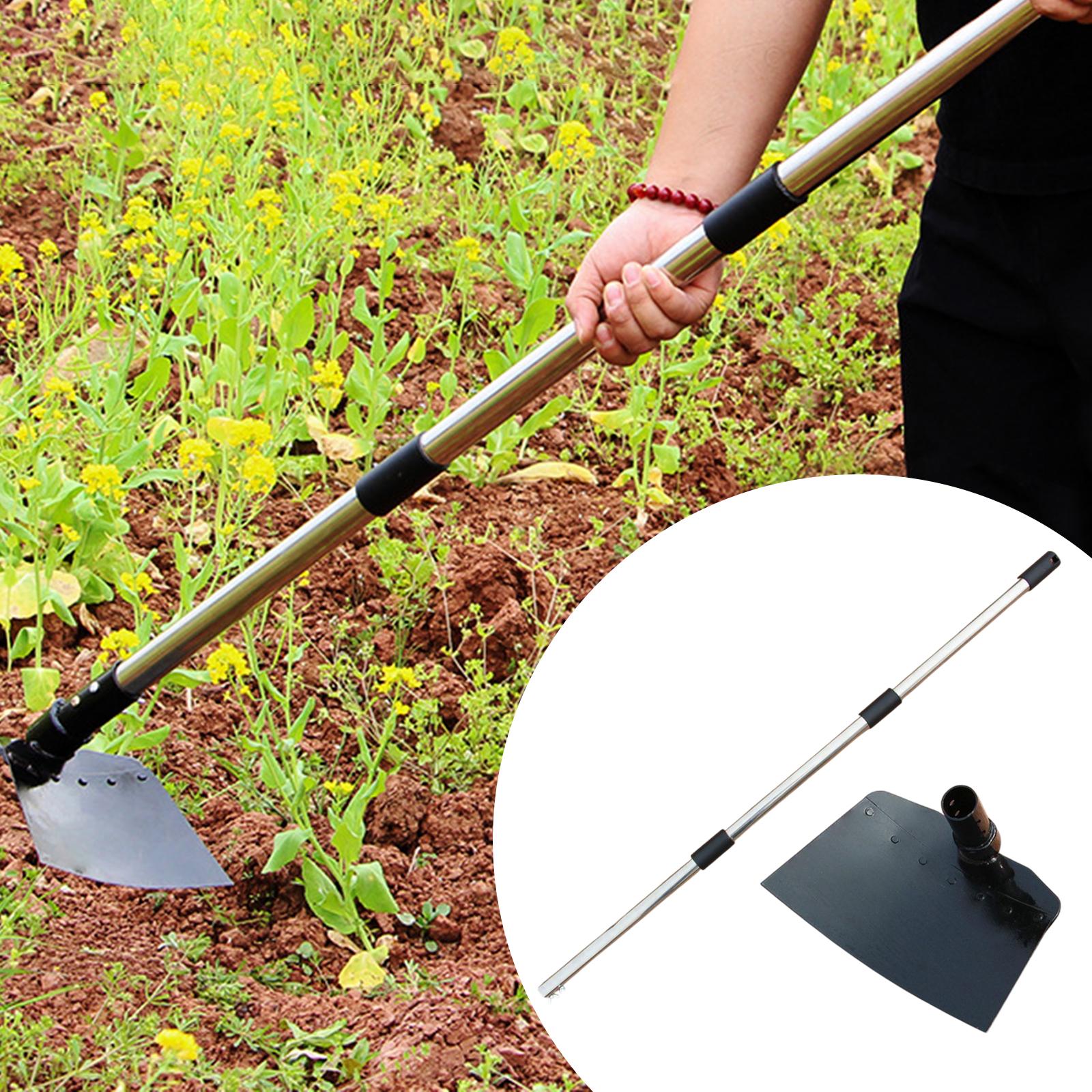 Weeding Sickle Hoe Adjustable  - مراجعة Tissue Culture Plant وسعره