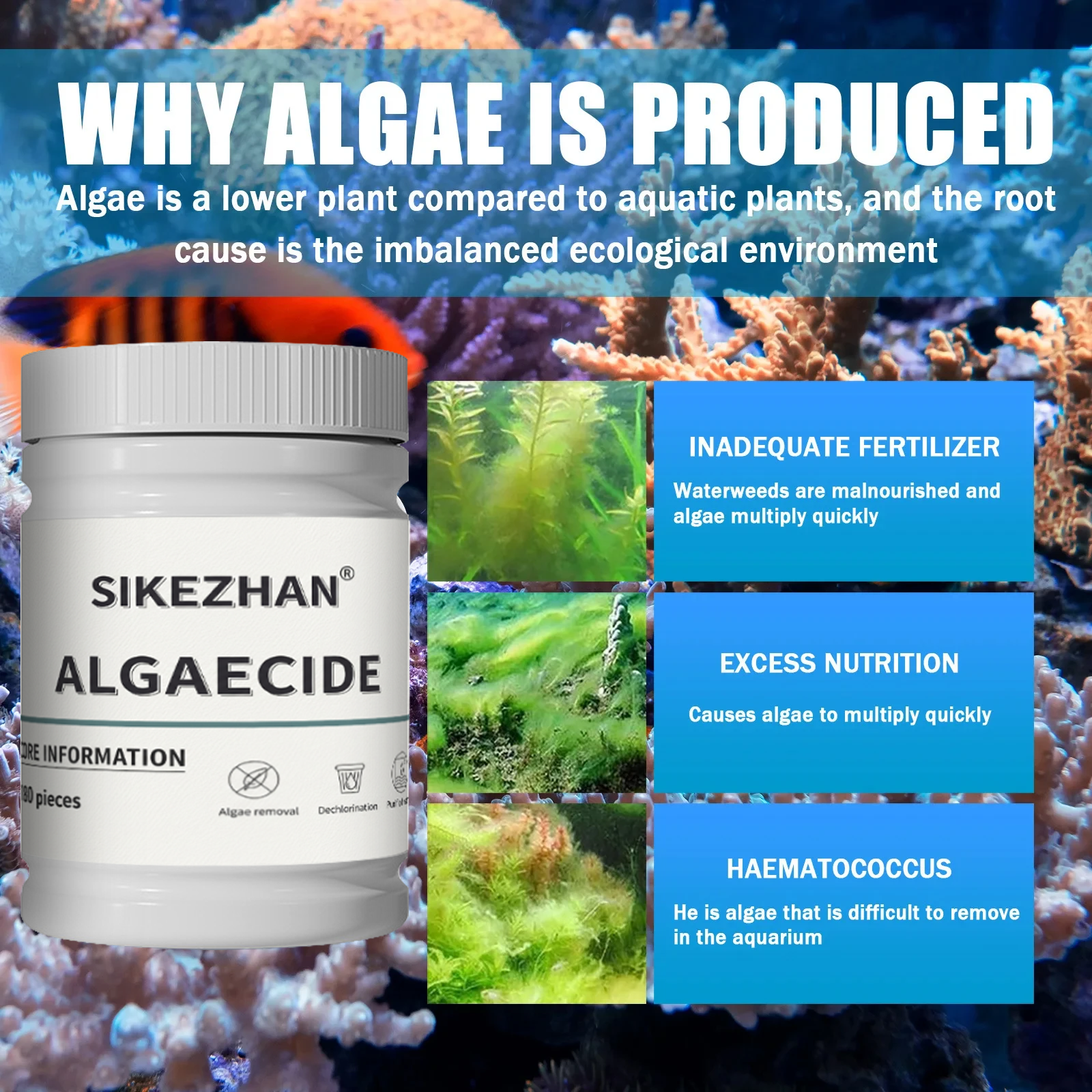 Fish Tank Algaecide Tablets，Cl - مراجعة Planted Aquarium Algae Control وسعره