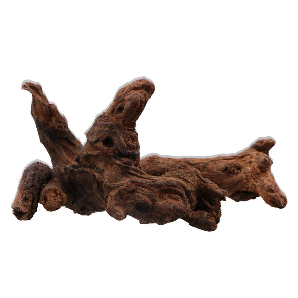 Creative Irregular Shape Coral - مراجعة Aquarium Plant Guide وسعره