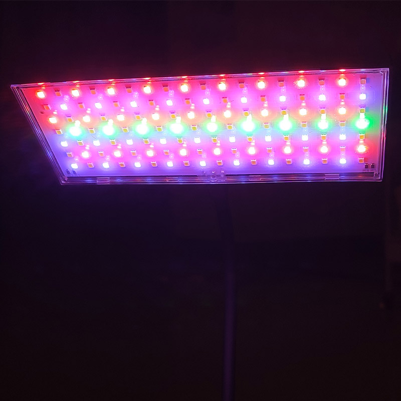 3 Light Color Adjustable Aquar - مراجعة Aquarium Plant Ornament وسعره