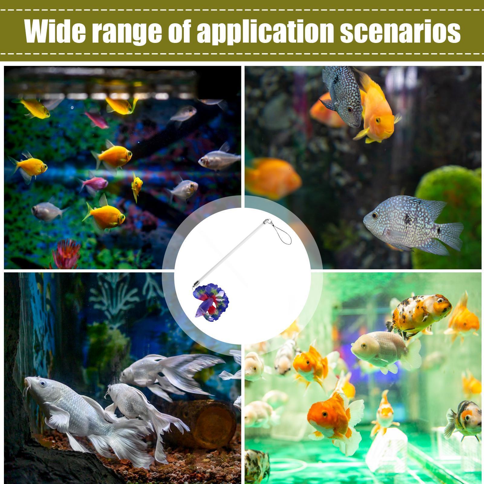 Fish Training Wand For Betta I - مراجعة Planted Aquarium For Beginners وسعره