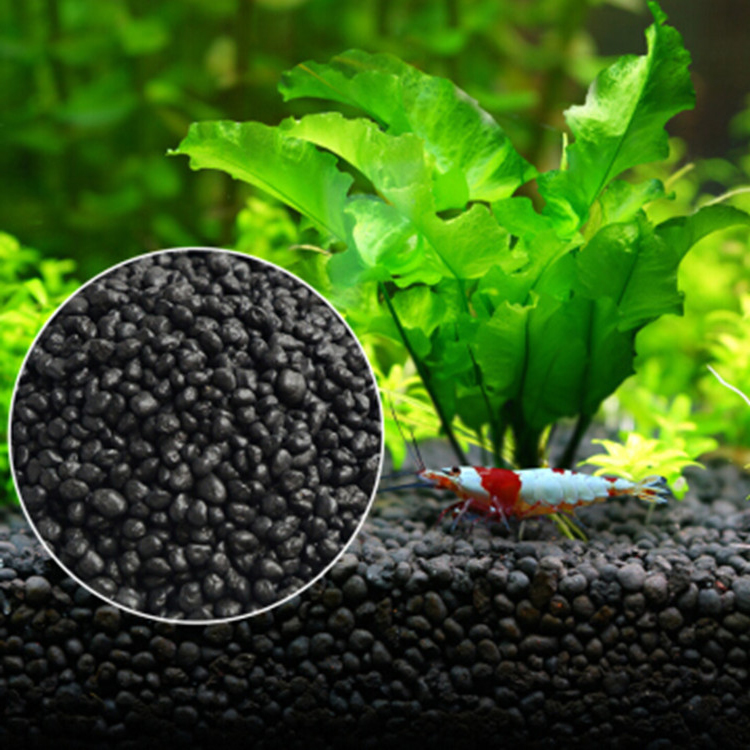 Aquarium Plant Seeds Soil Fish - مراجعة Aquarium Plants Book وسعره