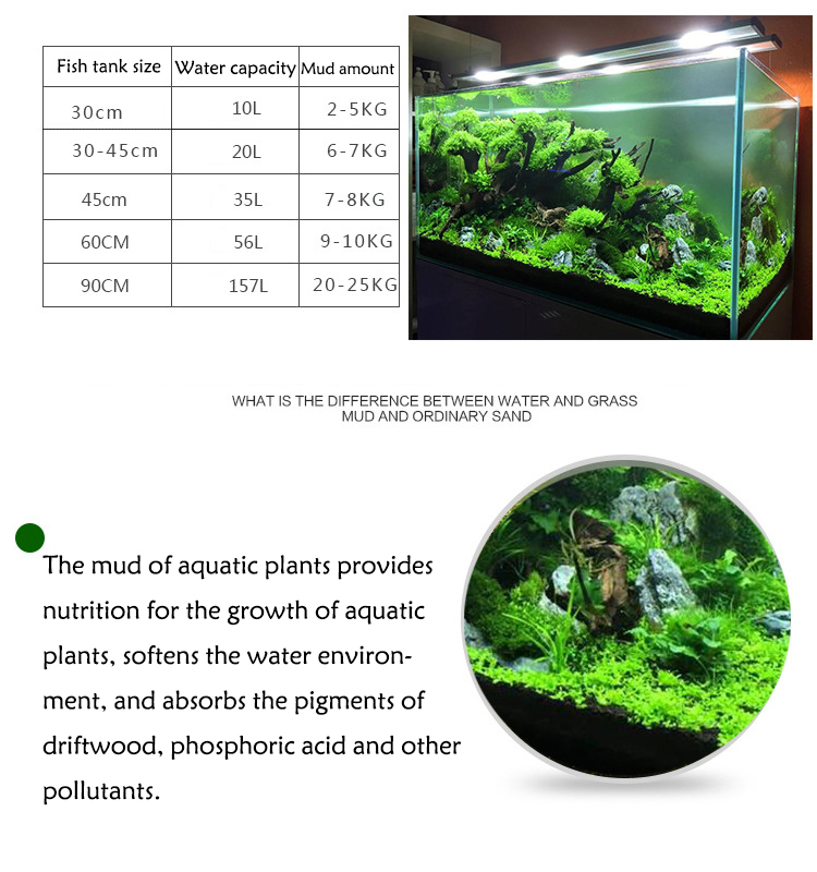 Aquarium Plant Seeds Soil Fish - مراجعة Aquarium Plants Book وسعره