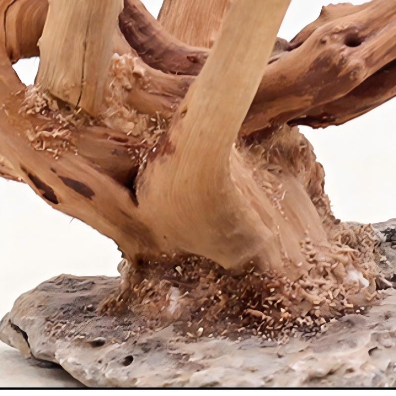 1PC Aquarium Landscaping Wood  - مراجعة Aquarium Plant Guide وسعره