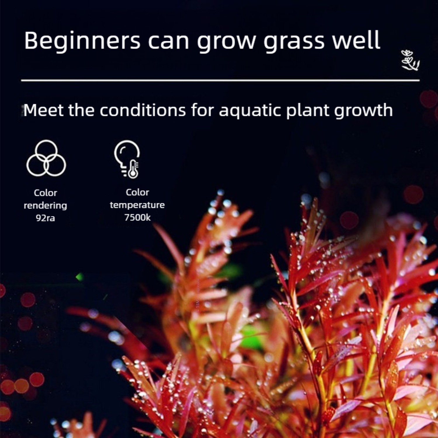LED Aquarium Light for 12 Inch - مراجعة Planted Aquarium Freshwater وسعره