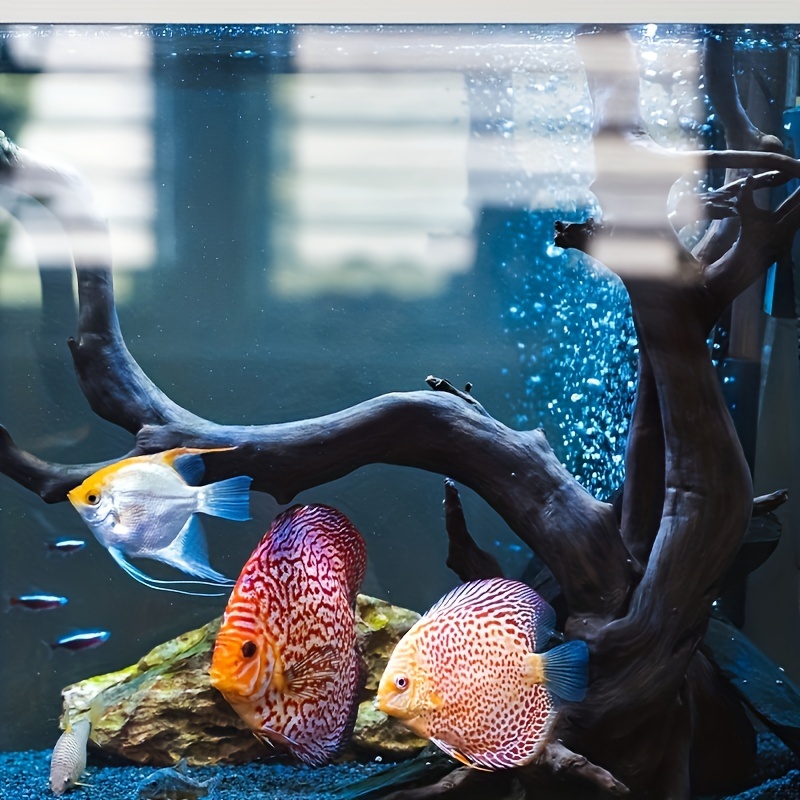 Tree Trunk Micro Landscape Rep - مراجعة Aquarium Plant Guide وسعره