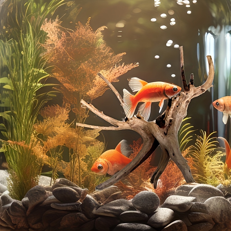 Tree Trunk Micro Landscape Rep - مراجعة Aquarium Plant Guide وسعره