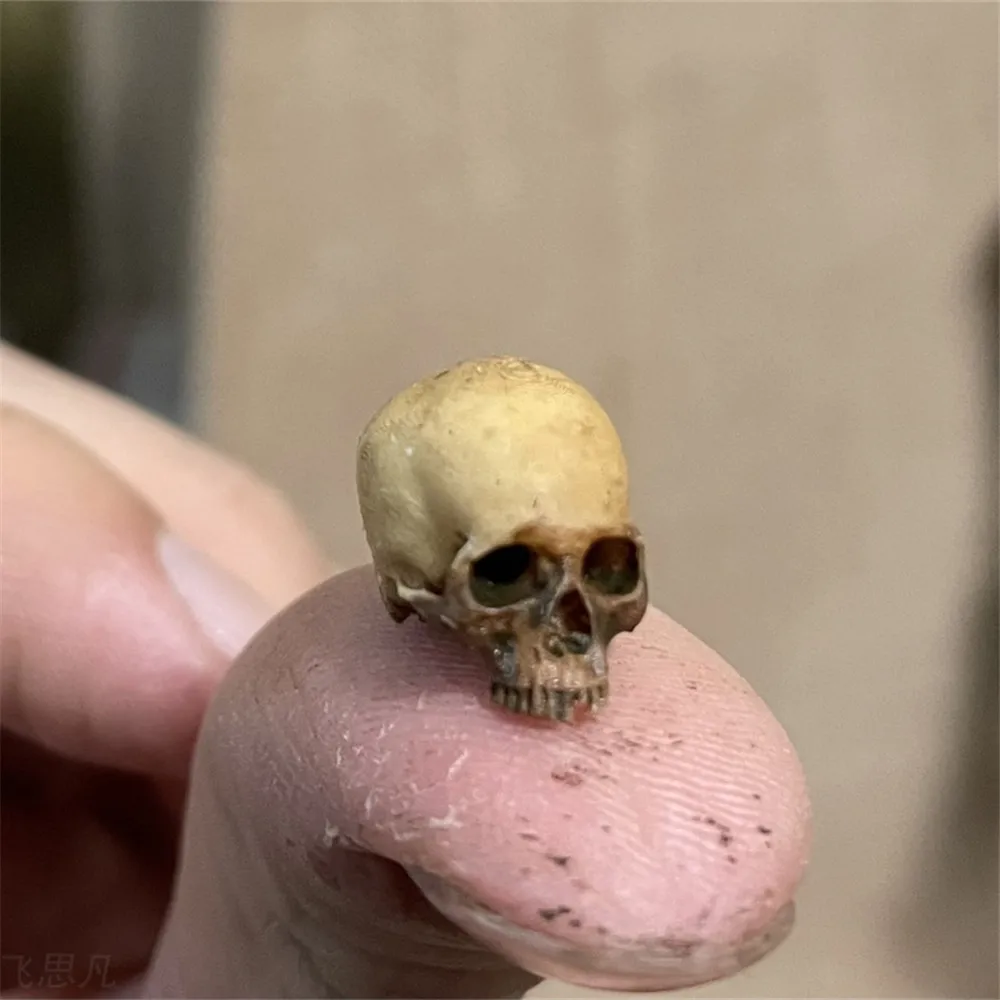Mini Skull High Quality Miniat - مراجعة Aquarium Plants Book وسعره