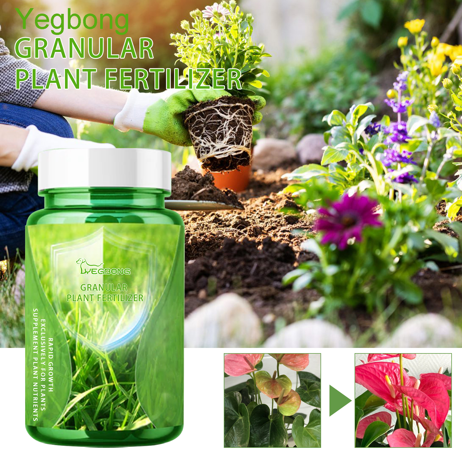 30ML All Purpose Green Plant N - مراجعة Liquid Fertilizer All In وسعره