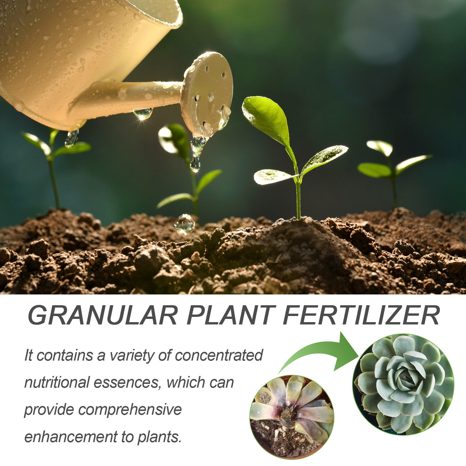30ML All Purpose Green Plant N - مراجعة Liquid Fertilizer All In وسعره