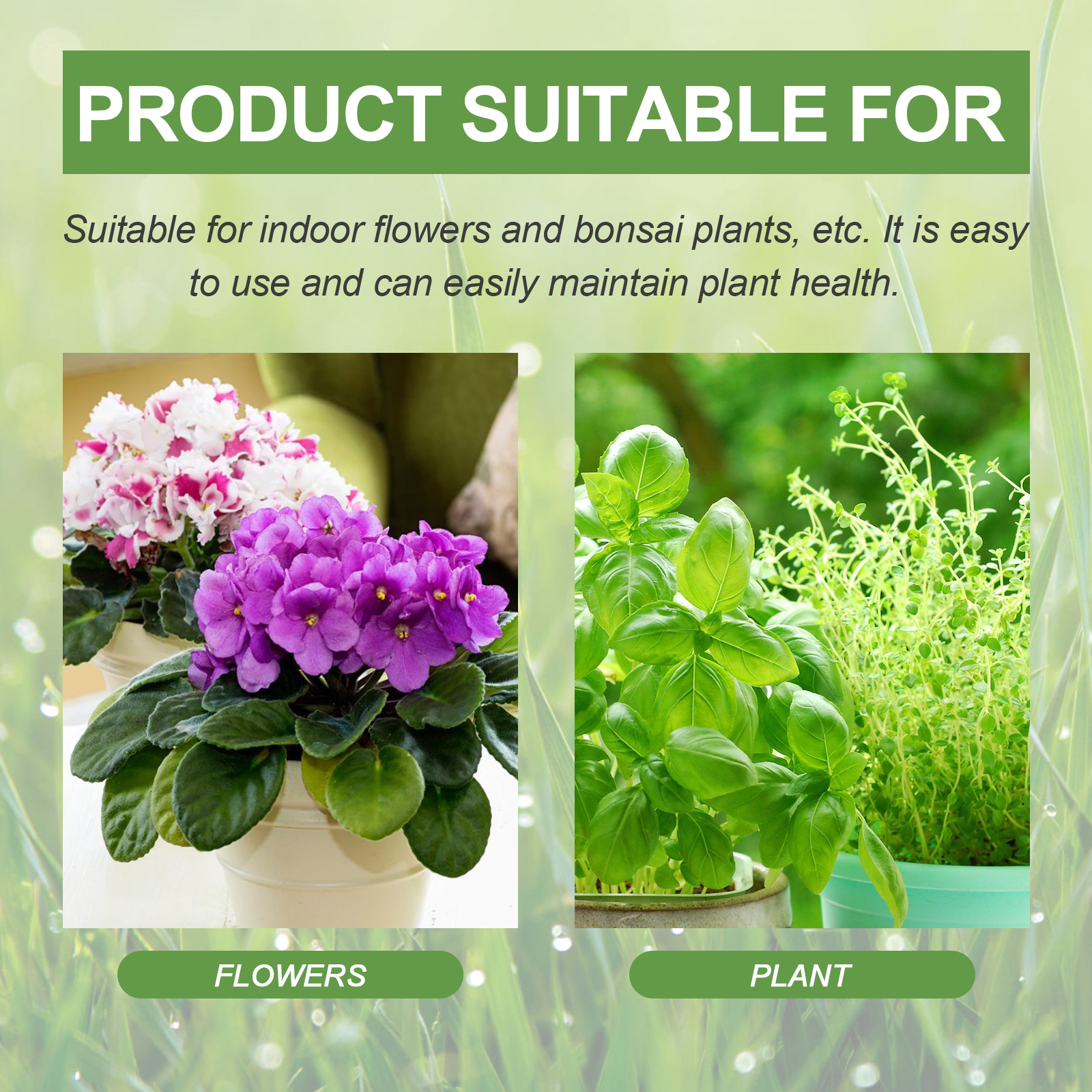 30ML All Purpose Green Plant N - مراجعة Liquid Fertilizer All In وسعره