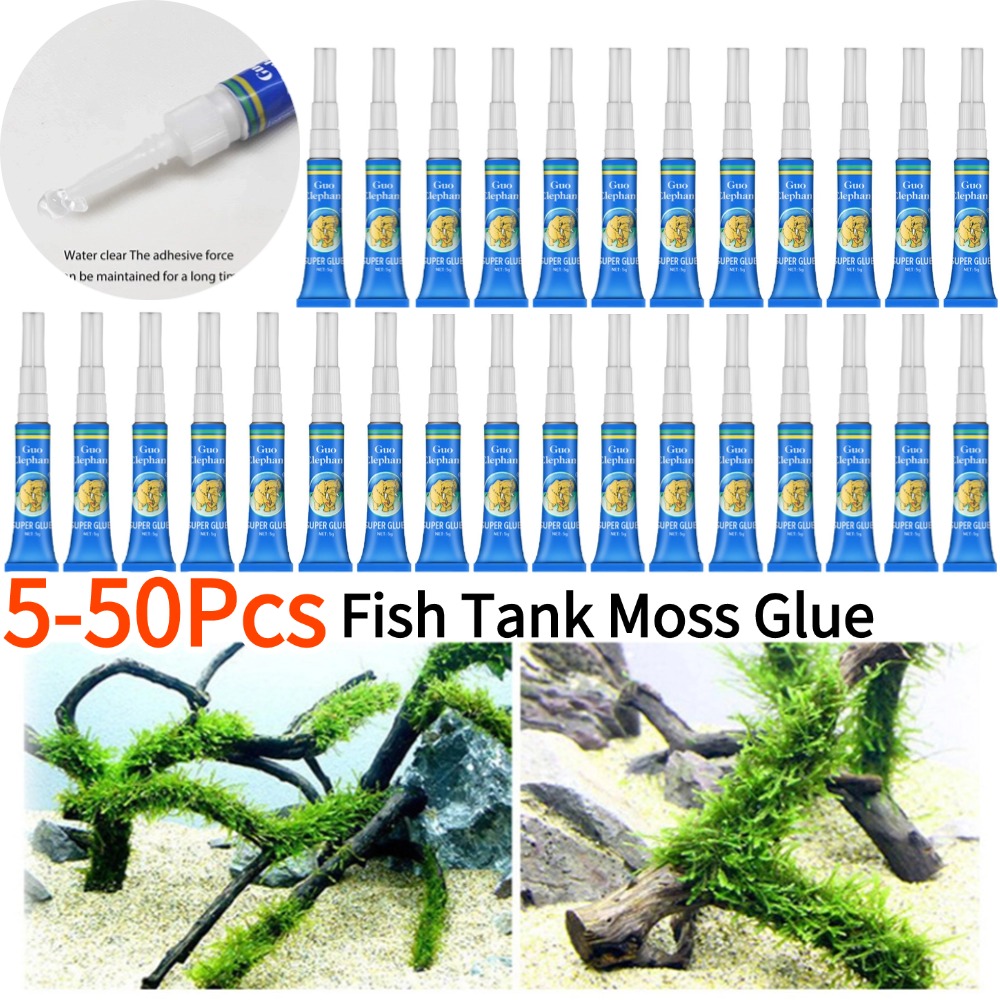 50-5Pcs Fish Tank Landscaping  - مراجعة Aquarium Plant Glue وسعره