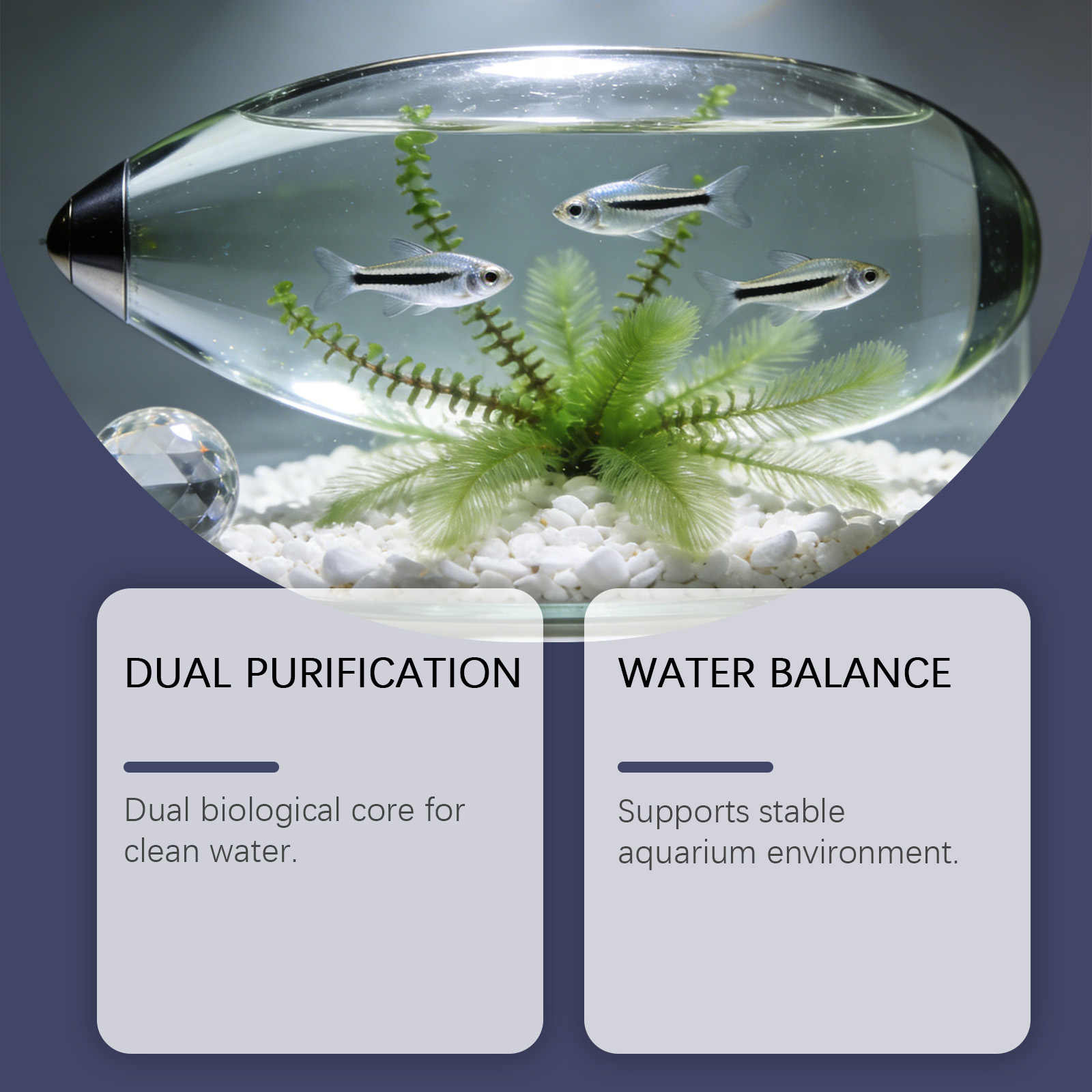 Algae Remover Tablets for Aqua - مراجعة Planted Aquarium Algae Control وسعره
