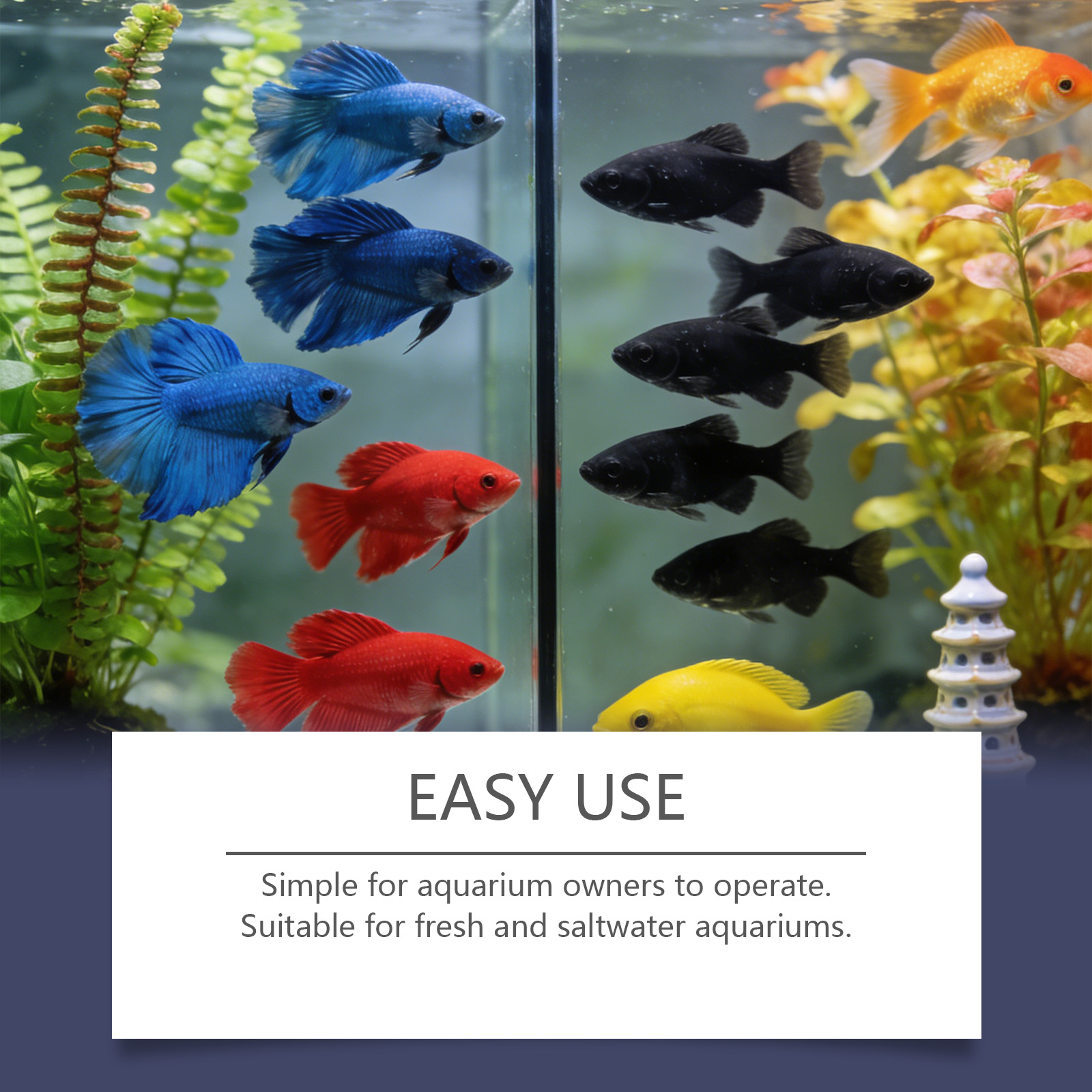 Algae Remover Tablets for Aqua - مراجعة Planted Aquarium Algae Control وسعره