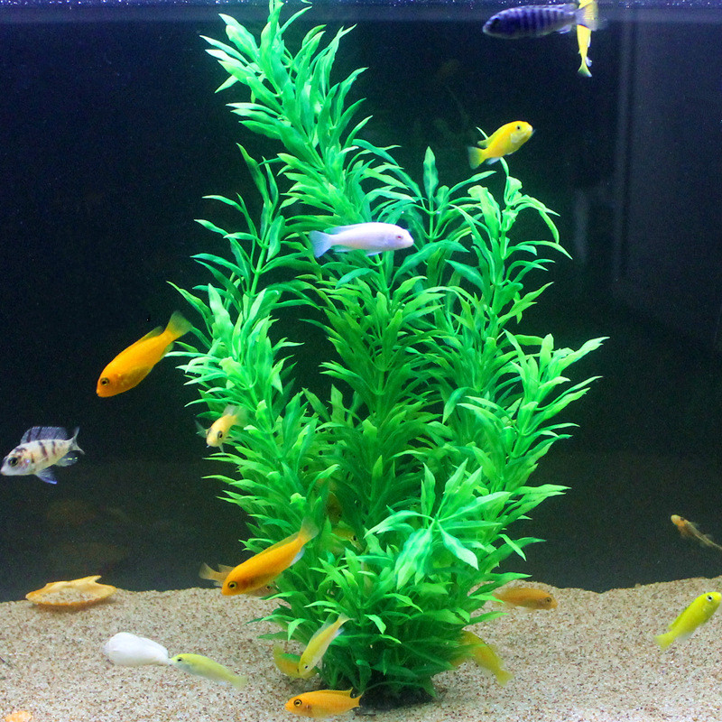 50CM Artificial Fish Tank Rare - مراجعة Aquarium Plant Ornament وسعره