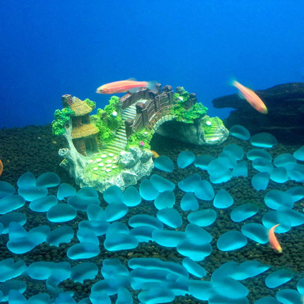 Aquarium Accessories Arbor Tre - مراجعة Aquarium Plant Guide وسعره
