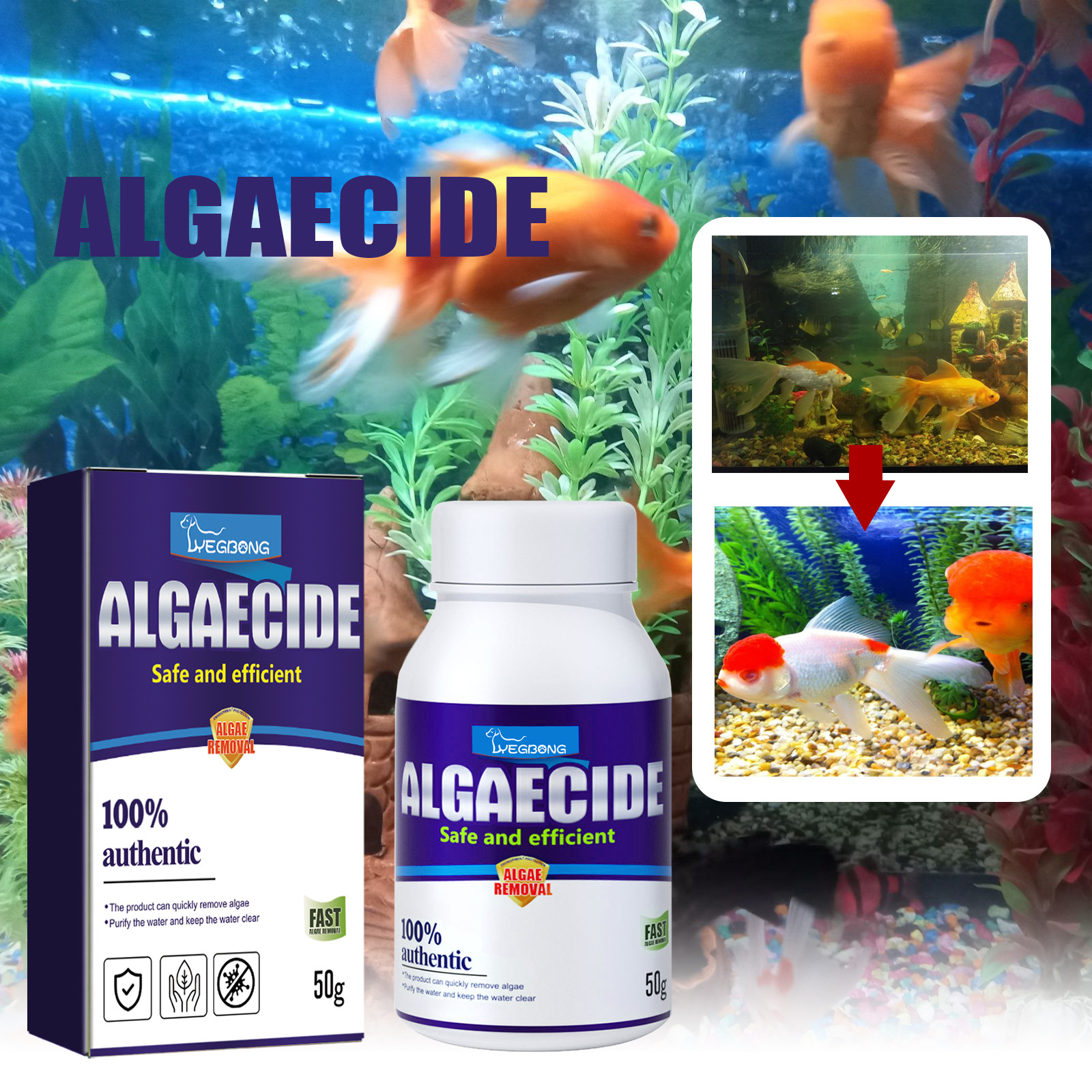 Aquarium Algae Remover High Ef - مراجعة Planted Aquarium Algae Control وسعره
