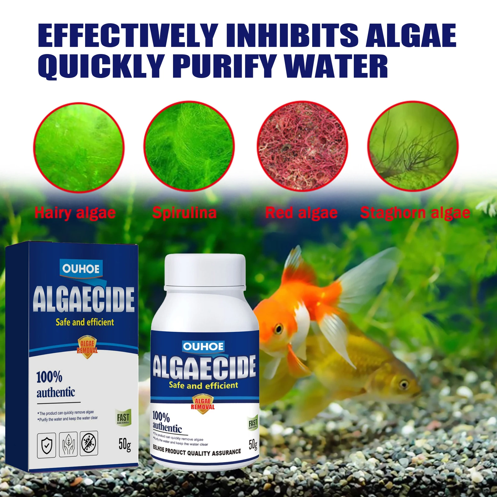 Aquarium Algae Remover High Ef - مراجعة Planted Aquarium Algae Control وسعره