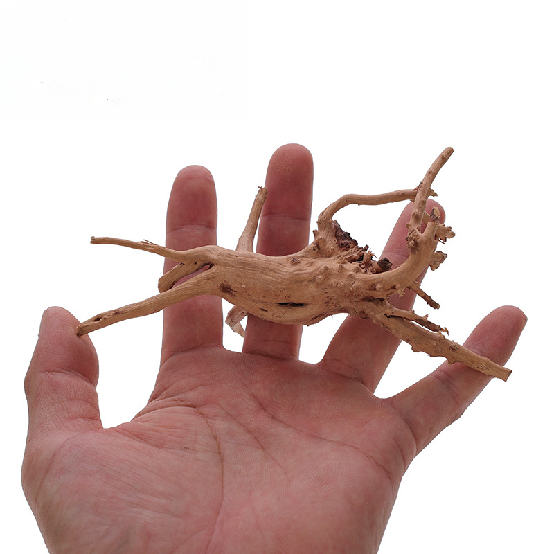 Fish Tank Sunken Wood Decorati - مراجعة Aquarium Plant Ornament وسعره