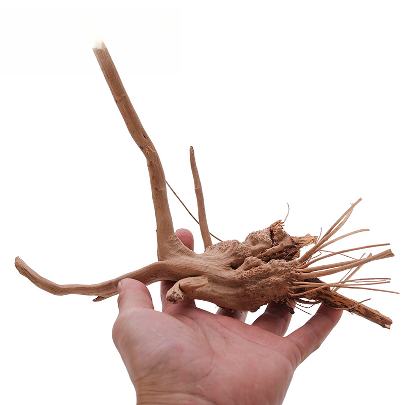 Fish Tank Sunken Wood Decorati - مراجعة Aquarium Plant Ornament وسعره