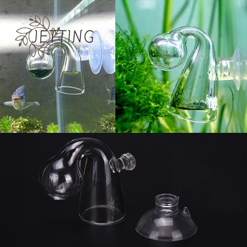 Plastic Soil Sieve Filter Mesh - مراجعة Tissue Culture Plant وسعره