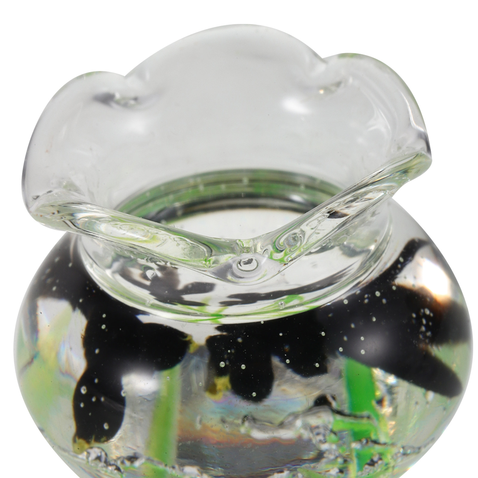 Mini Round Resin Fish Bowl Tin - مراجعة Aquarium Plant Ornament وسعره