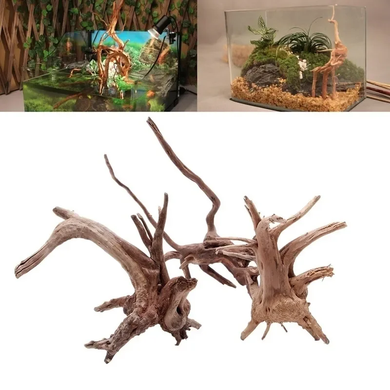 Natural Tree Trunk Driftwood A - مراجعة Aquarium Plant Root Tabs وسعره