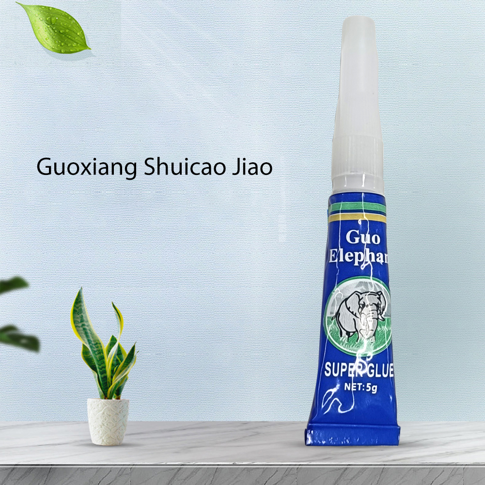 Aquarium Plant Glue Moss Glue  - مراجعة Aquarium Plant Glue وسعره