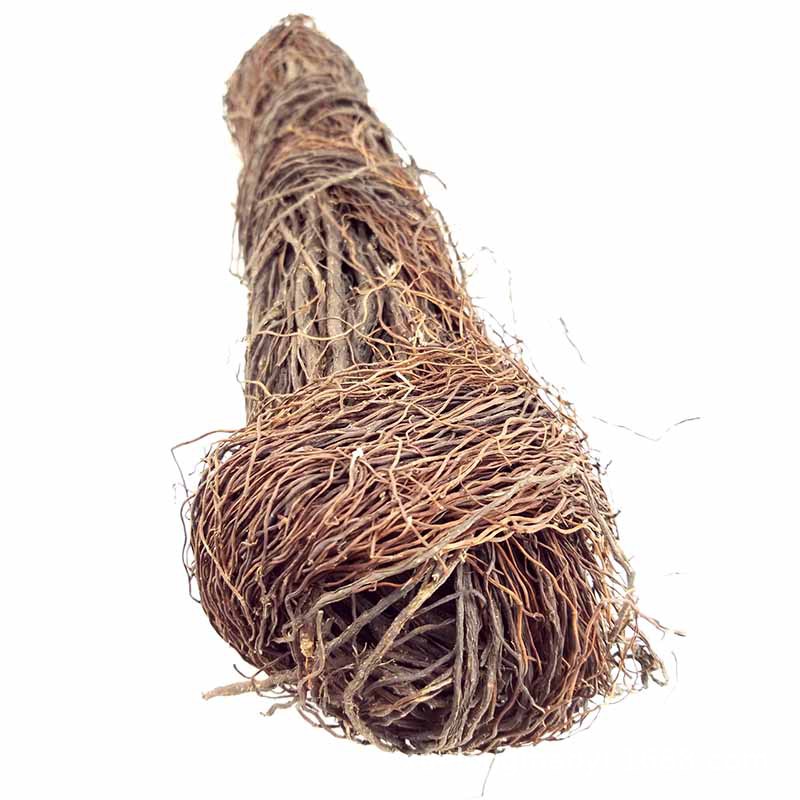 Fish Tank Tree Root Decoration - مراجعة Aquarium Plant Root Tabs وسعره