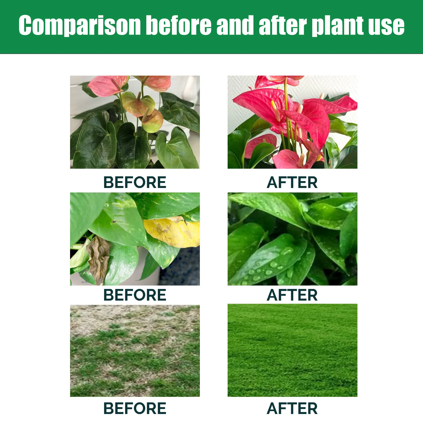 Indoor Potted Plant Fertilizer - مراجعة Liquid Fertilizer All In وسعره