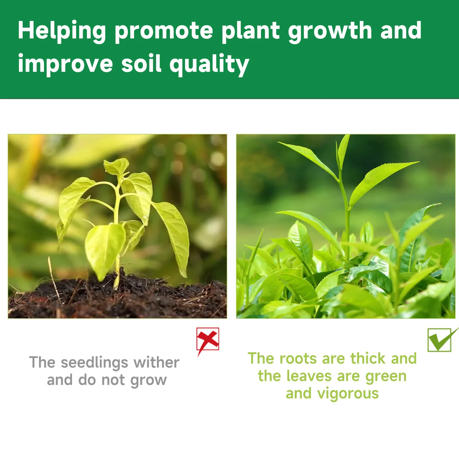 Indoor Potted Plant Fertilizer - مراجعة Liquid Fertilizer All In وسعره