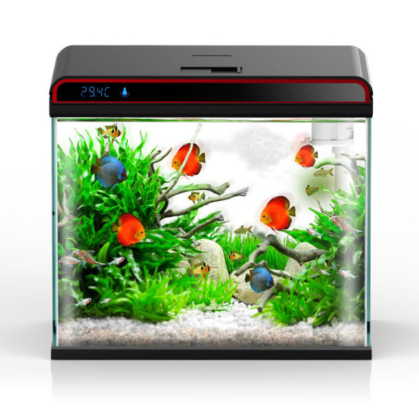 Sunsun 4-in-1 Aquarium Water C - مراجعة Planted Aquarium Algae Control وسعره