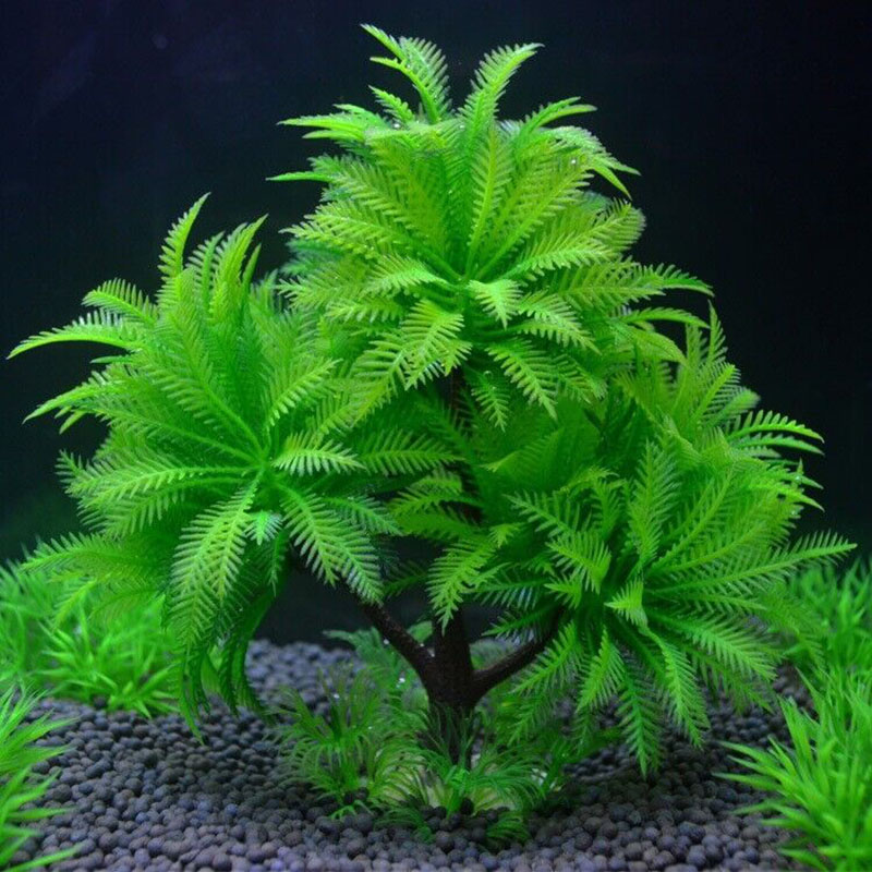 Aquarium Decorative Simulation - مراجعة Aquarium Plant Guide وسعره