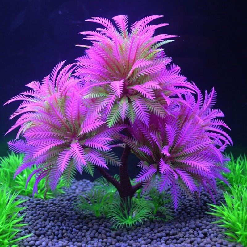 Aquarium Decorative Simulation - مراجعة Aquarium Plant Guide وسعره