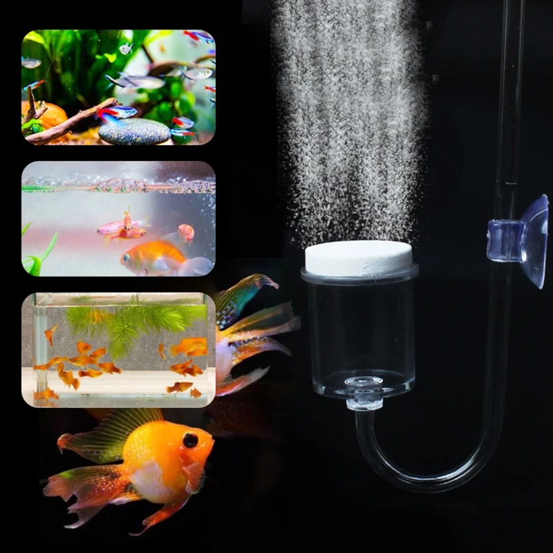 4pcs Set DIY CO2 Diffuser For  - مراجعة Aquarium Plants Book وسعره