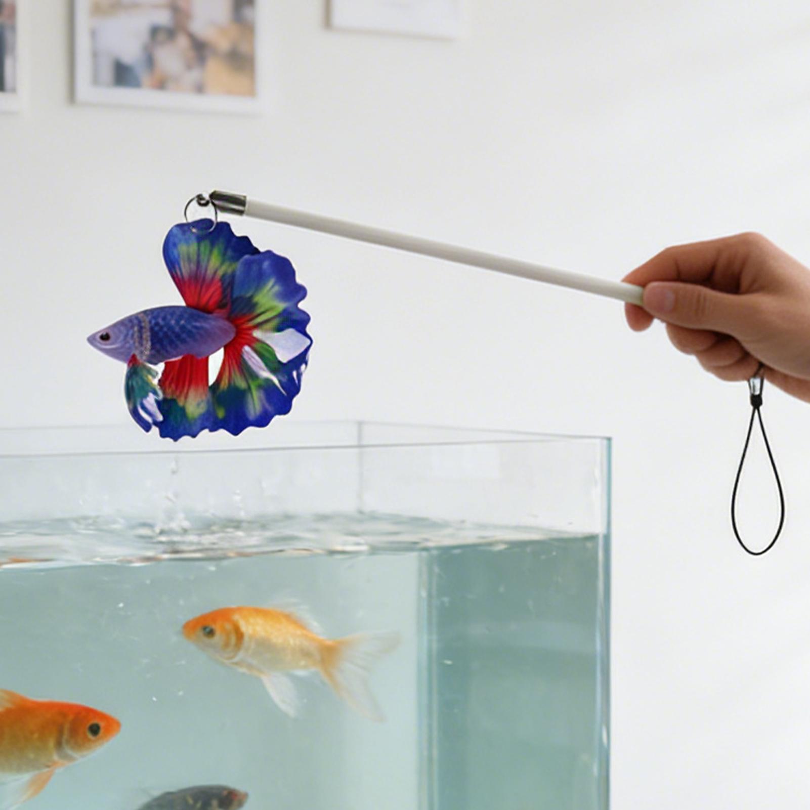 Fish Training Stick Realistic  - مراجعة Planted Aquarium For Beginners وسعره