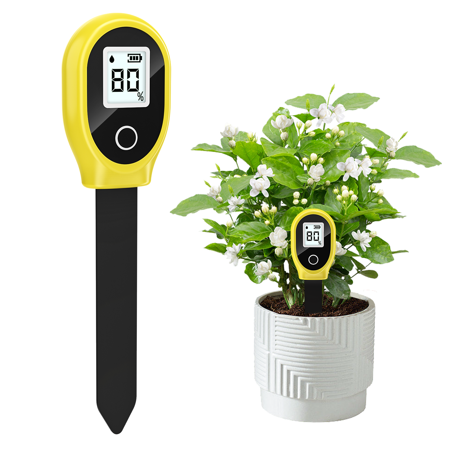 Soil Moisture Sensor Monitor P - مراجعة Tissue Culture Plant وسعره