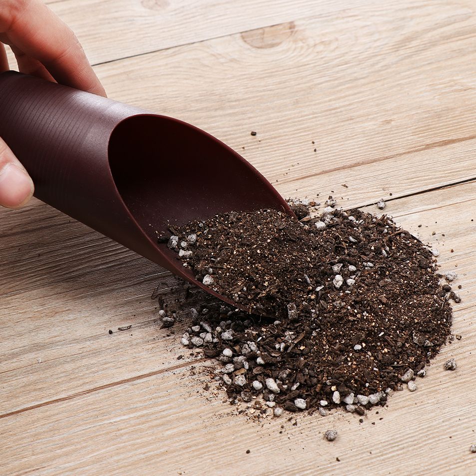 1PC Plastic Soil Shovel Cup Fo - مراجعة Tissue Culture Plant وسعره
